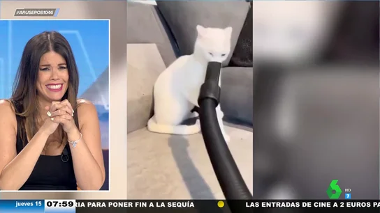 El gracioso vídeo viral de un gato que juega con una aspiradora: "Se le van a quedar unos morritos..." El gracioso vídeo viral de un gato que juega con una aspiradora: "Se le van a quedar unos morritos..."