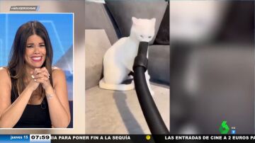 El gracioso vídeo viral de un gato que juega con una aspiradora: "Se le van a quedar unos morritos..."