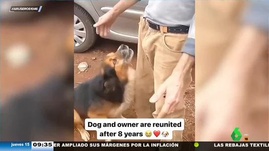 El emotivo momento en el que un perro y su dueño se reencuentran tras 8 años sin verse: "Os estoy haciendo llorar" El emotivo momento en el que un perro y su dueño se reencuentran tras 8 años sin verse: "Os estoy haciendo llorar"