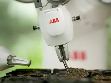 Robot que ayudará a reforestar la selva amazónica Robot que ayudará a reforestar la selva amazónica