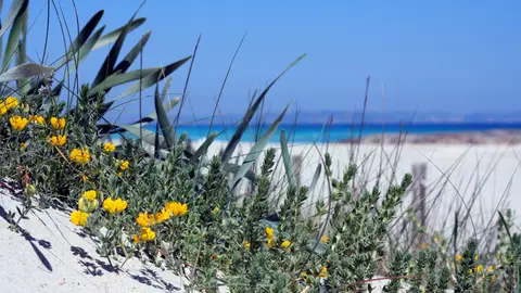 Formentera Formentera