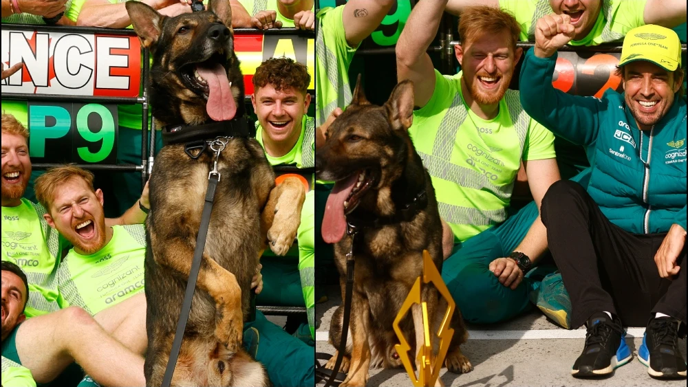 Fernando Alonso, Aston Martin y un perro infiltrado