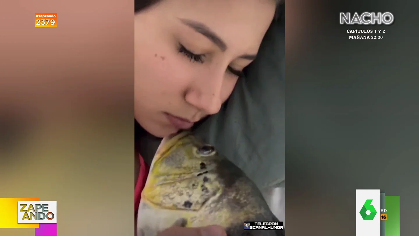 La divertida reacción de una chica al descubrir que los labios que besa no son los de su novio La divertida reacción de una chica al descubrir que los labios que besa no son los de su novio