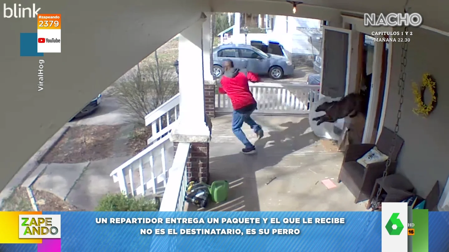 El susto de un repartidor cuando un perro rompe la puerta El susto de un repartidor cuando un perro rompe la puerta