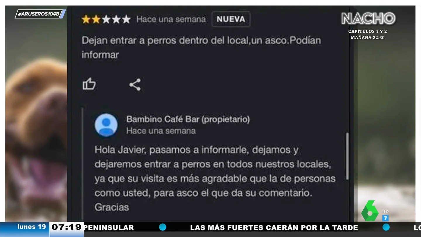 El dardo del propietario de un local a un hombre que criticó que dejaran entrar perros: "Para asco, su comentario" El dardo del propietario de un local a un hombre que criticó que dejaran entrar perros: "Para asco, su comentario"