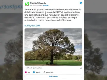 El olmo centenario de Madrid candidato a convertirse en 'El Árbol del Año' en 2024 El olmo centenario de Madrid candidato a convertirse en 'El Árbol del Año' en 2024