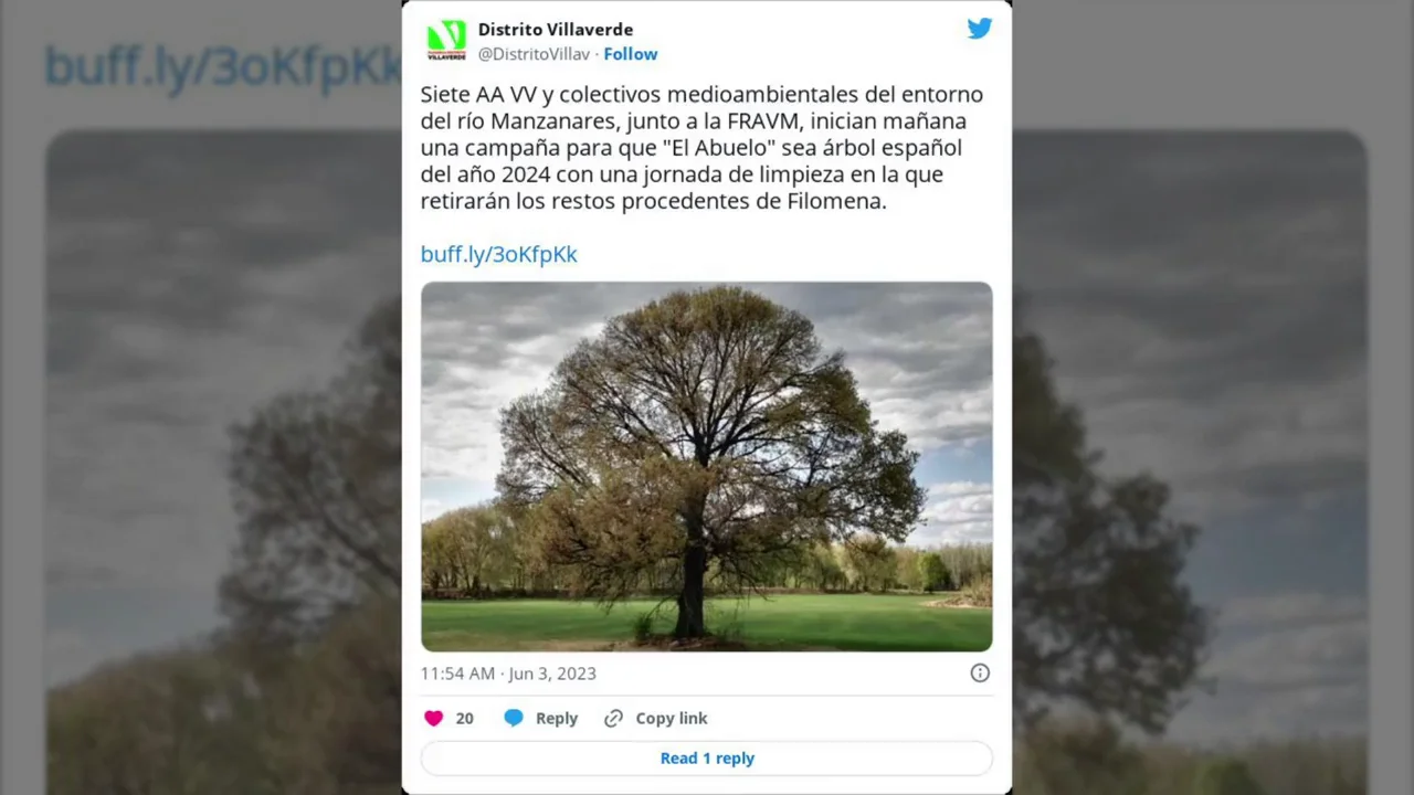 El olmo centenario de Madrid candidato a convertirse en 'El &Aacute;rbol del A&ntilde;o' en 2024