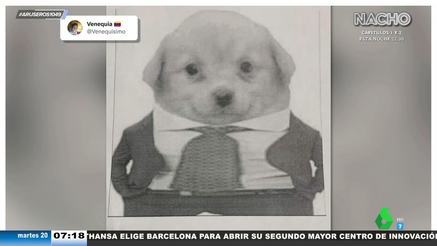 La viral y divertida confusión de un padre que imprime un sticker en lugar del documento que le pide su hija La viral y divertida confusión de un padre que imprime un sticker en lugar del documento que le pide su hija