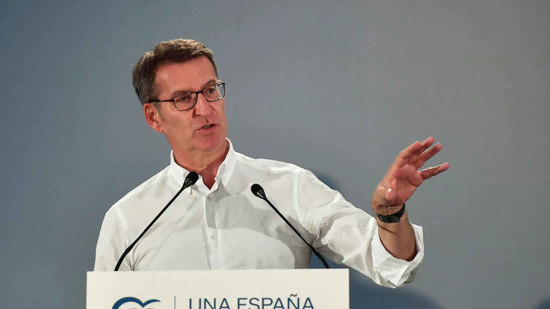 El presidente del Partido Popular Alberto Nuñez Feijóo.