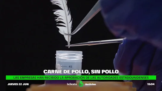Carne de pollo elaborada sin matar animales Carne de pollo elaborada sin matar animales