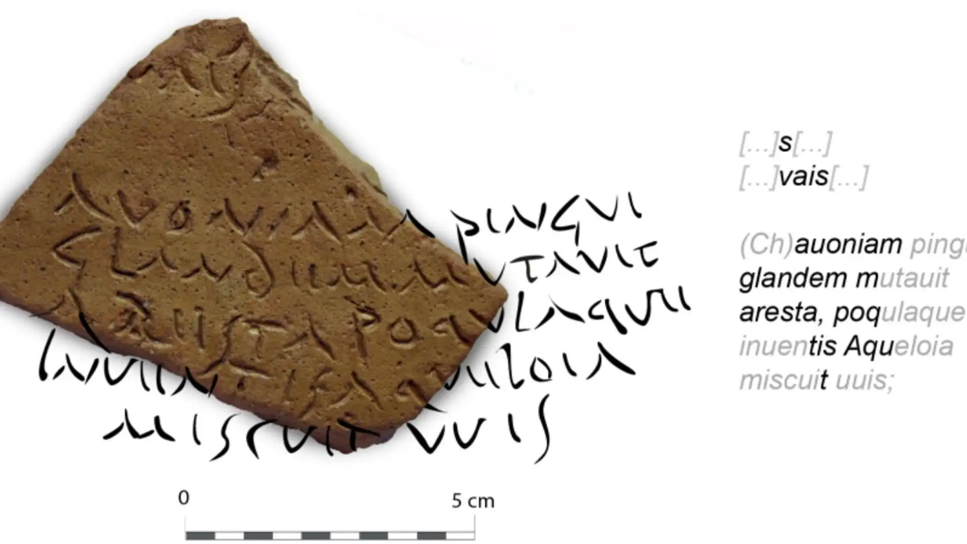 Fragmento del ánfora de aceite encontrada de la Bética con la inscripción Fragmento del ánfora de aceite encontrada de la Bética con la inscripción