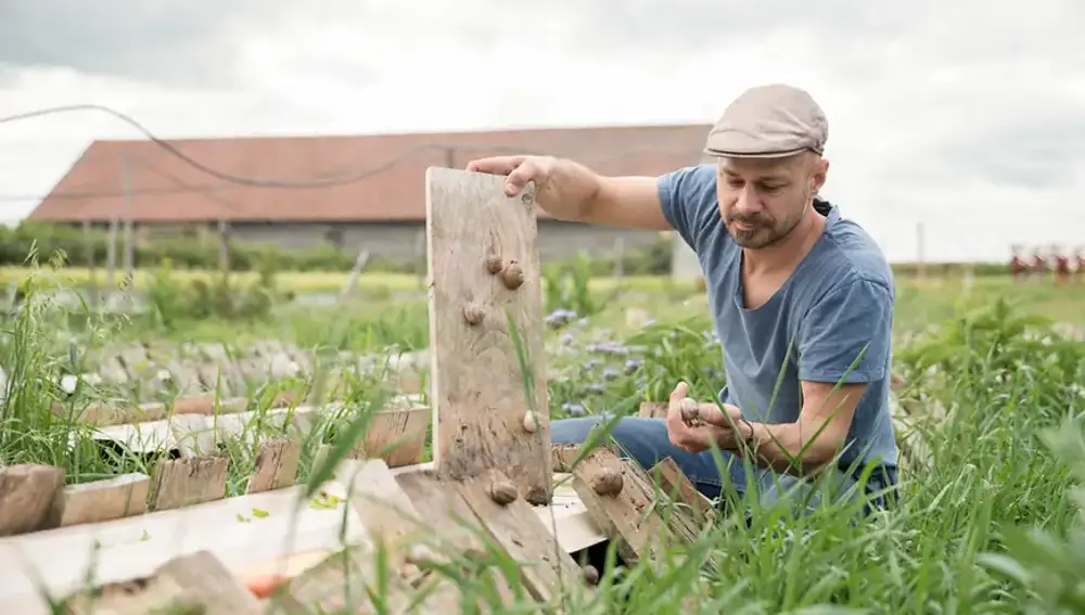 El caracol vienés: Andreas Gugumuck en el campo de caracoles