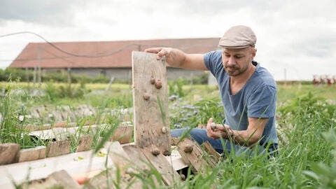 El caracol vienés: Andreas Gugumuck en el campo de caracoles
