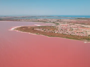 Laguna rosa del parque natural de Torrevieja (Alicante) Laguna rosa del parque natural de Torrevieja (Alicante)