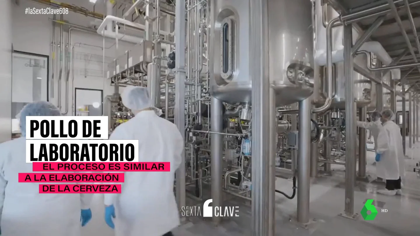 El enorme potencial del pollo de laboratorio: es sabroso, evita las macrogranjas, pero aún es caro de producir El enorme potencial del pollo de laboratorio: es sabroso, evita las macrogranjas, pero aún es caro de producir