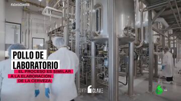 El enorme potencial del pollo de laboratorio: es sabroso, evita las macrogranjas, pero aún es caro de producir