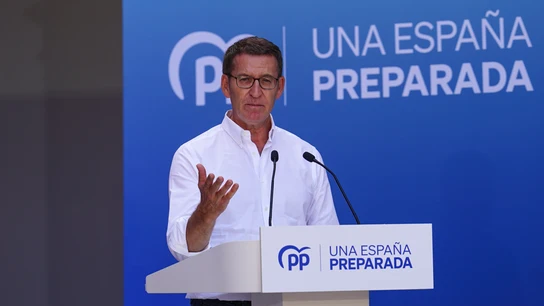 El presidente del Partido Popular, Alberto Núñez Feijóo. El presidente del Partido Popular, Alberto Núñez Feijóo.