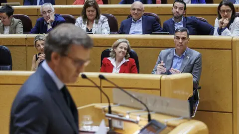El presidente del Partido Popular, Alberto Núñez Feijóo, en el Senado. El presidente del Partido Popular, Alberto Núñez Feijóo, en el Senado.