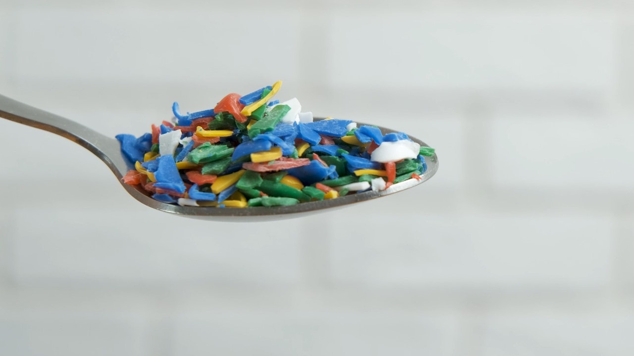 photo of Un estudio encuentra altas concentraciones de plásticos en placentas de bebés prematuros image