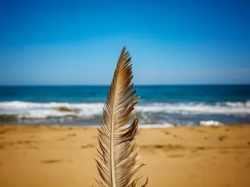 Calblanque Calblanque