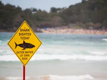 Señal de aviso de tiburones en una playa