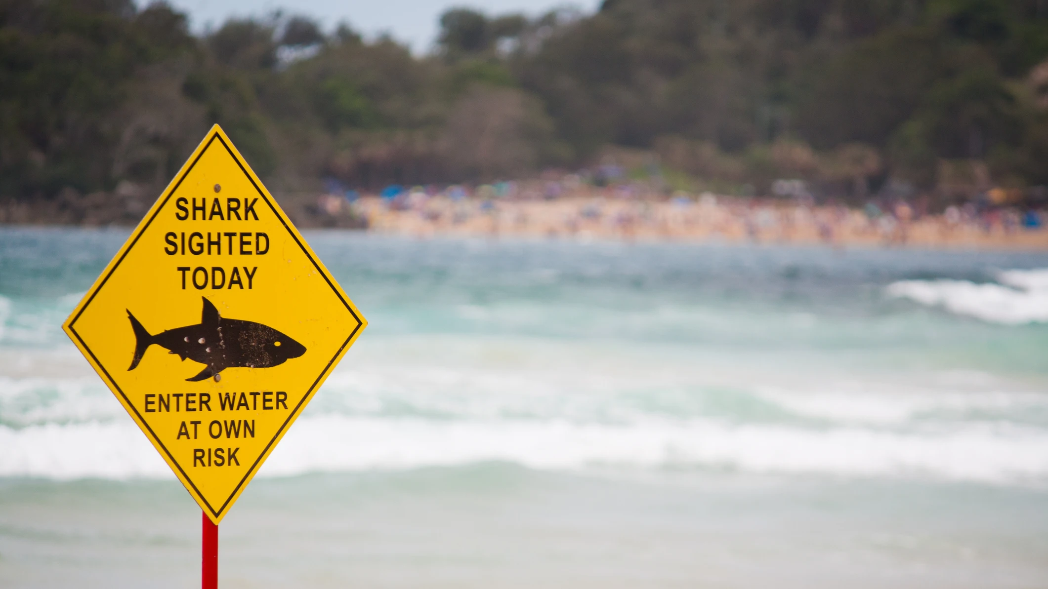 Se&ntilde;al de aviso de tiburones en una playa
