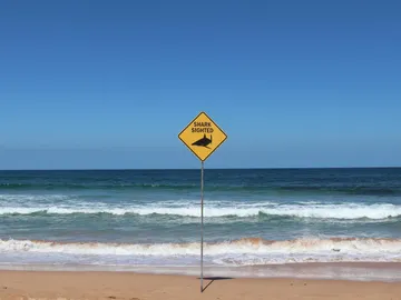 Señal de aviso de tiburones en la playa Señal de aviso de tiburones en la playa