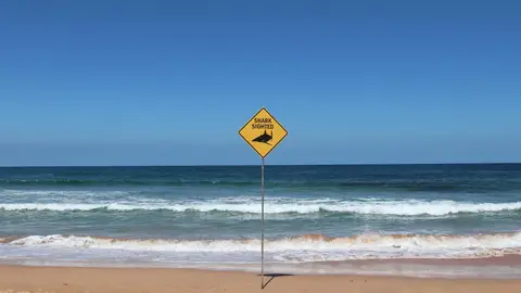 Señal de aviso de tiburones en la playa Señal de aviso de tiburones en la playa