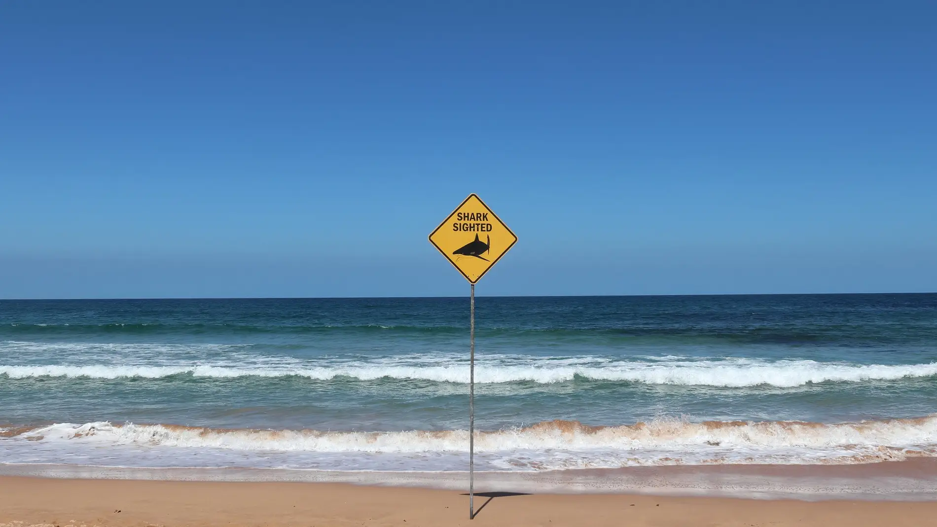 Señal de aviso de tiburones en la playa