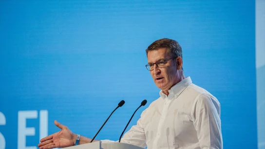 Alberto Núñez Feijóo en un acto de precampaña con el PP Alberto Núñez Feijóo en un acto de precampaña con el PP