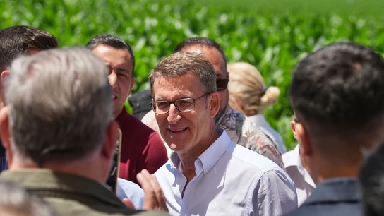 Alberto Núñez Feijóo, durante un acto del PP Alberto Núñez Feijóo, durante un acto del PP