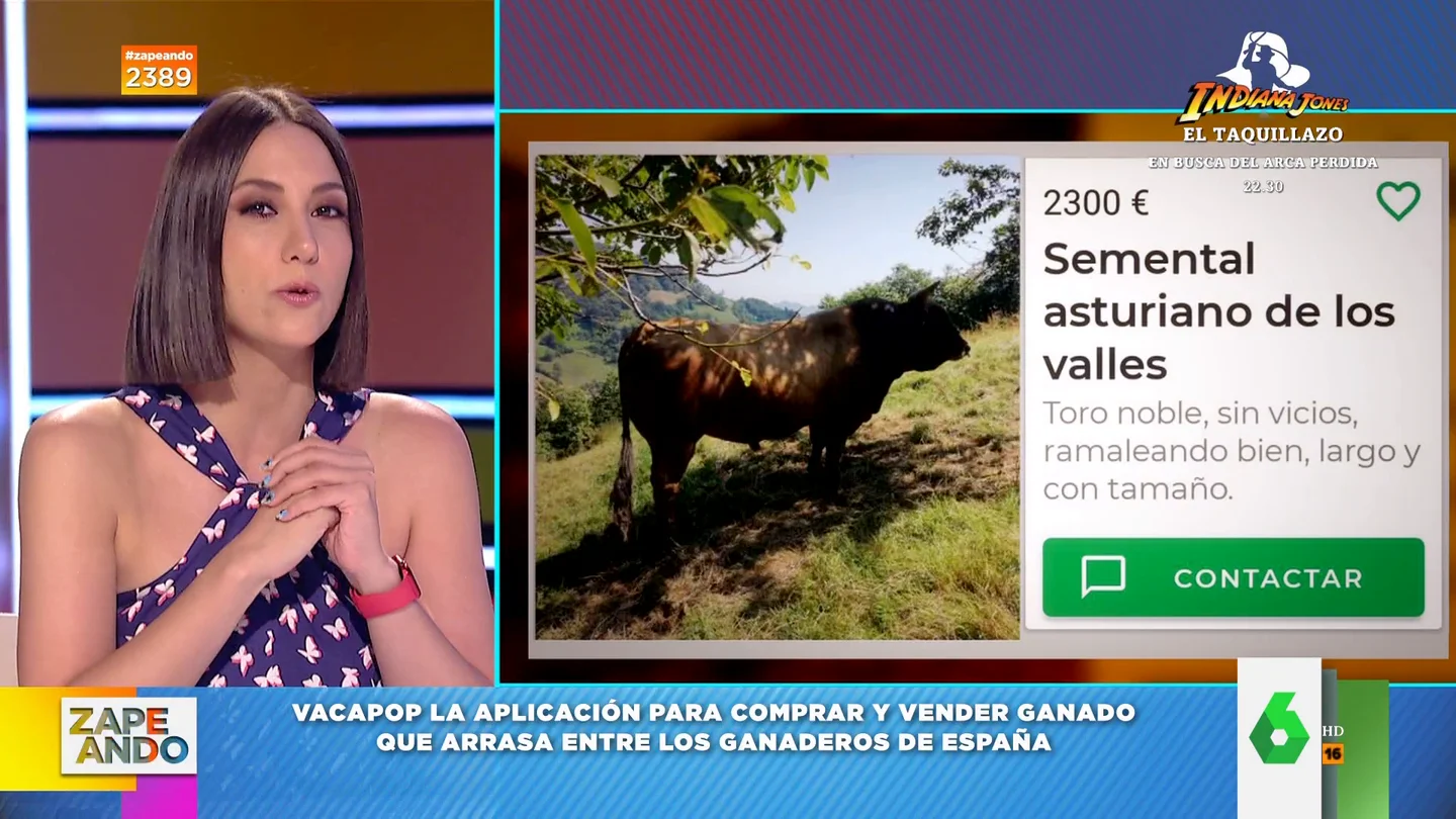 Vacapop: así es el Wallapop del mundo rural en el que se vende ganado Vacapop: así es el Wallapop del mundo rural en el que se vende ganado