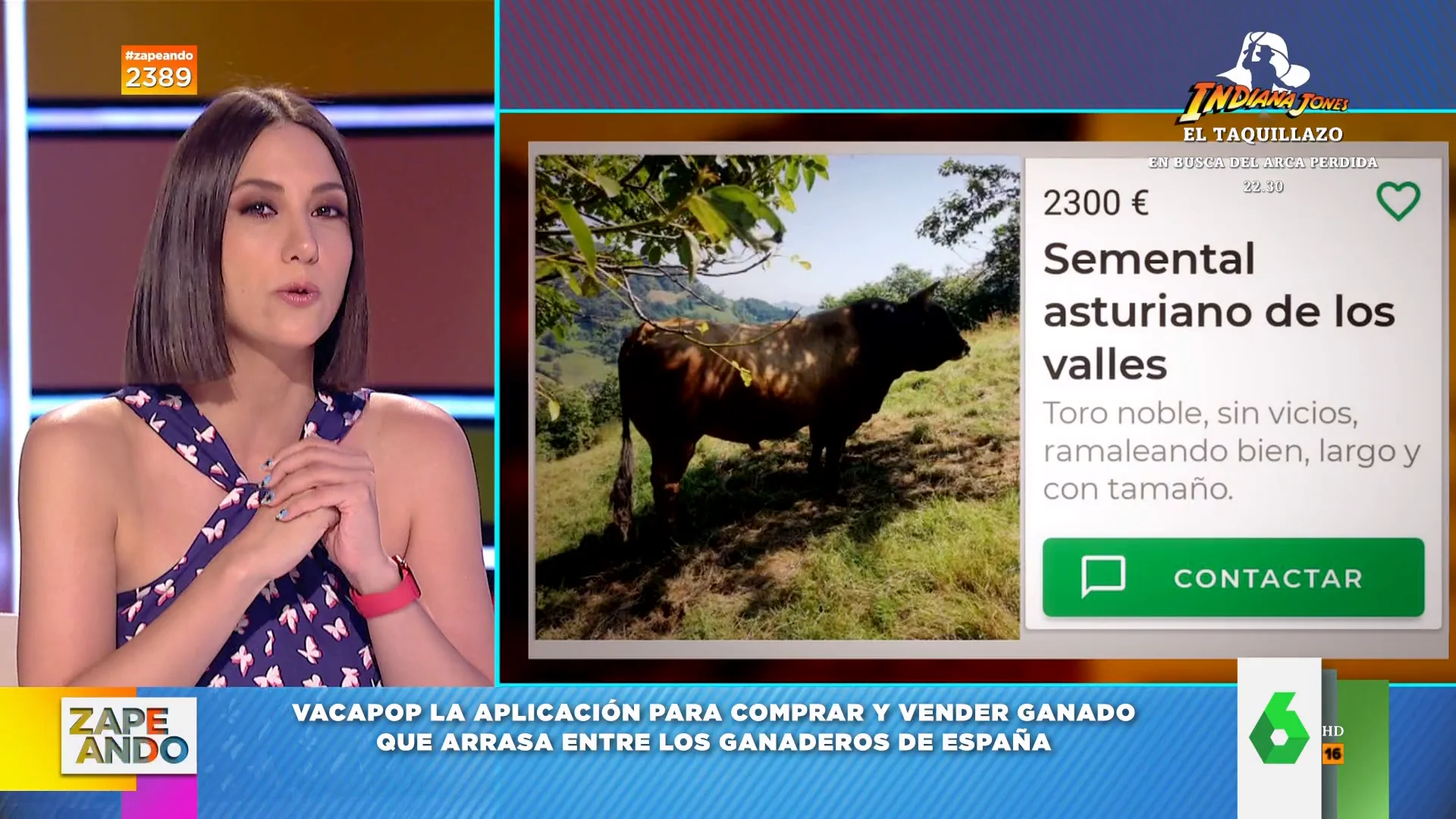 Vacapop: así es el Wallapop del mundo rural en el que se vende ganado