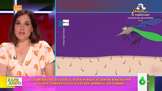 Boticaria García explica por qué los mosquitos pican más a las personas que sudan y beben cerveza Boticaria García explica por qué los mosquitos pican más a las personas que sudan y beben cerveza