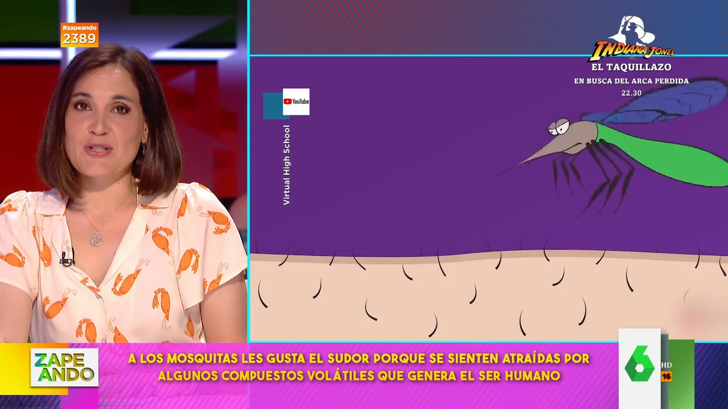 Boticaria García explica por qué los mosquitos pican más a las personas que sudan y beben cerveza Boticaria García explica por qué los mosquitos pican más a las personas que sudan y beben cerveza