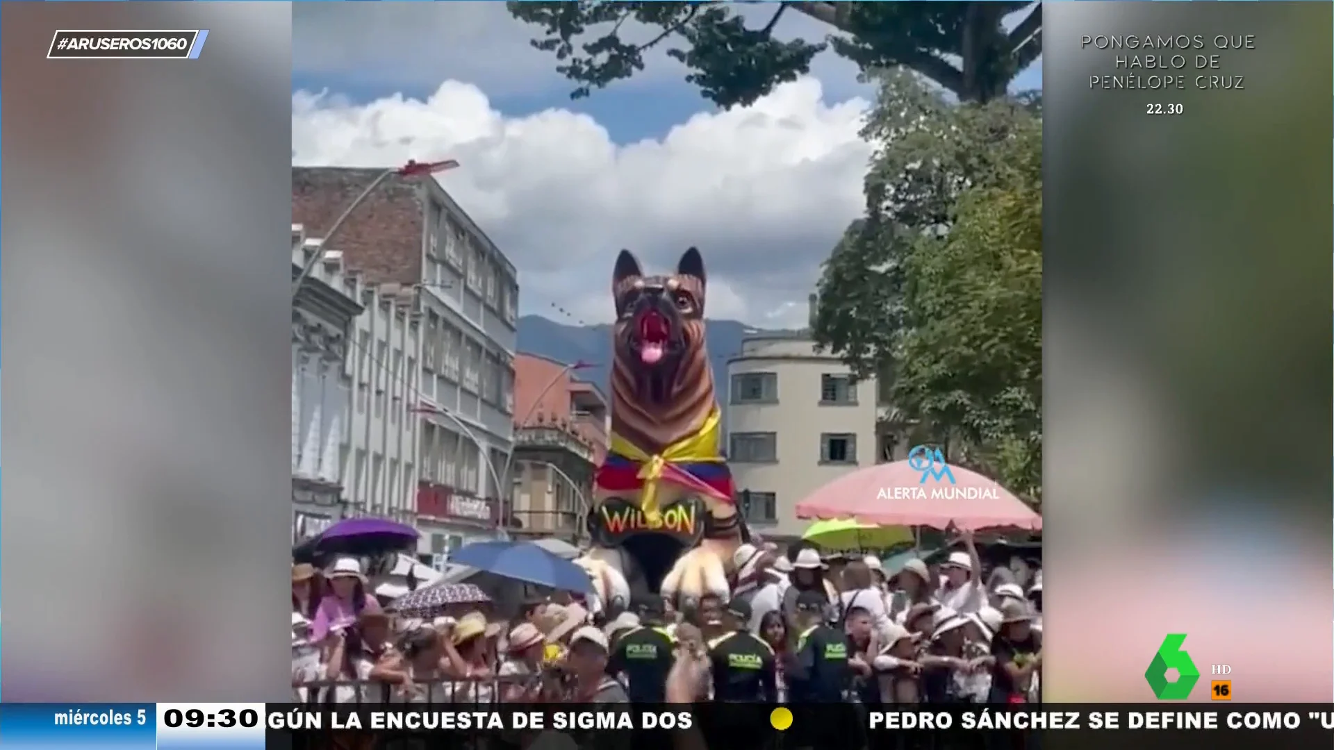 El emotivo homenaje a Wilson, el perro desaparecido que encontró a los niños perdidos en una selva de Colombia