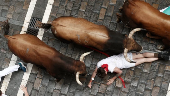 Un mozo es sobrepasado por los toros en el tramo de Mercaderes del primer encierro de los sanfermines de este julio de 2023 con toros de la ganadería de Palmosilla. Un mozo es sobrepasado por los toros en el tramo de Mercaderes del primer encierro de los sanfermines de este julio de 2023 con toros de la ganadería de Palmosilla.
