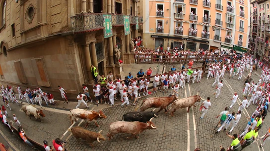 La manada de la ganadería de Núñez del Cuvillo a su paso por la plaza del Ayuntamiento durante el quinto encierro de los sanfermines 2023. La manada de la ganadería de Núñez del Cuvillo a su paso por la plaza del Ayuntamiento durante el quinto encierro de los sanfermines 2023.