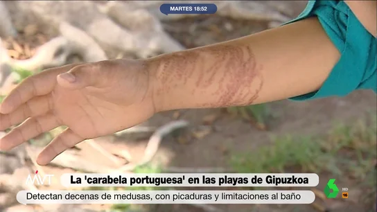 La carabela portuguesa La carabela portuguesa