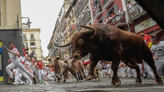 Imagen del quinto encierro de los Sanfermines 2023 protagonizado por toros de Núñez del Cuvillo. Imagen del quinto encierro de los Sanfermines 2023 protagonizado por toros de Núñez del Cuvillo.