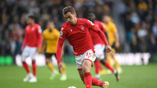 Harry Toffolo Harry Toffolo