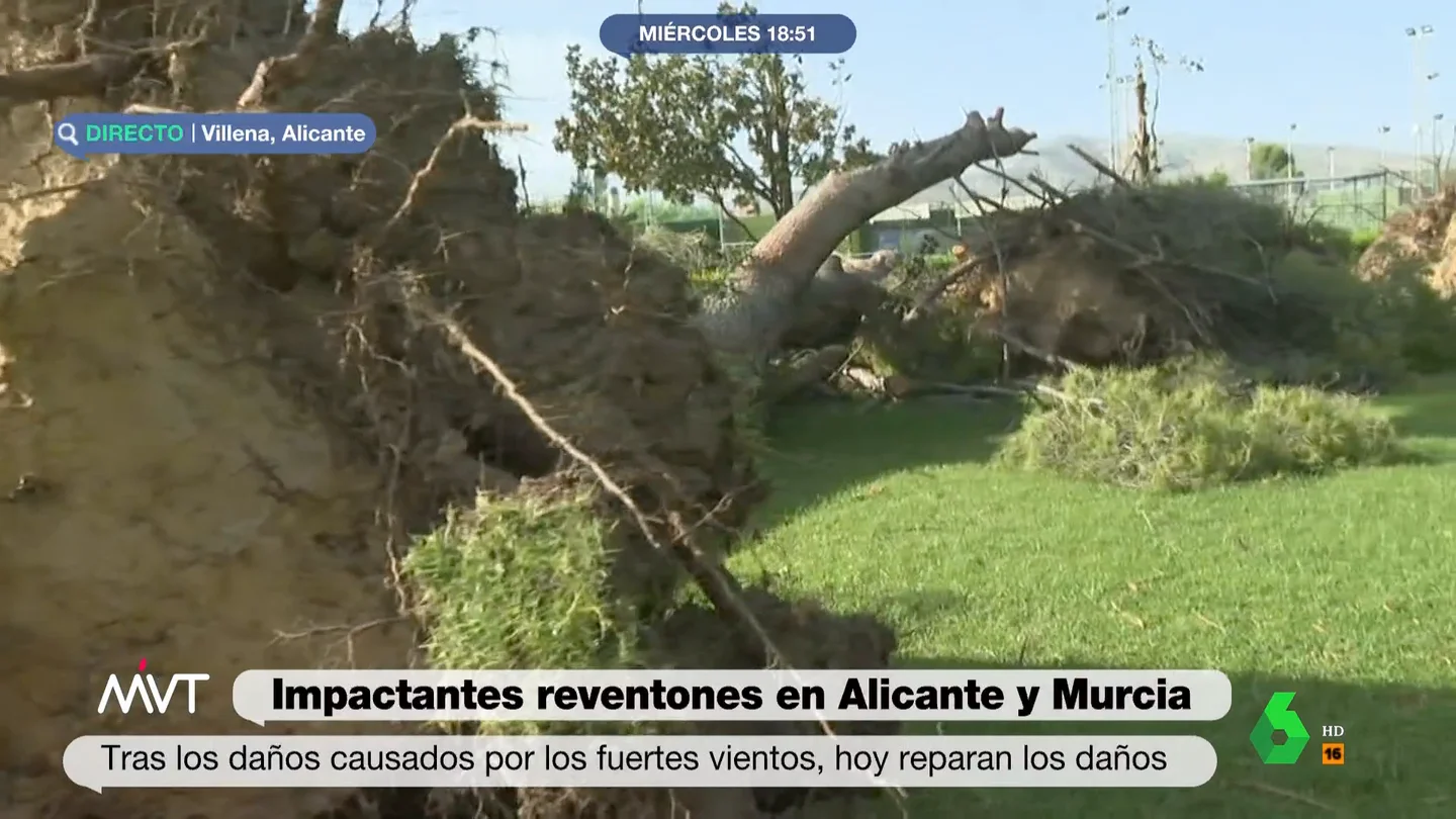 Reventones en Alicante y Murcia Reventones en Alicante y Murcia