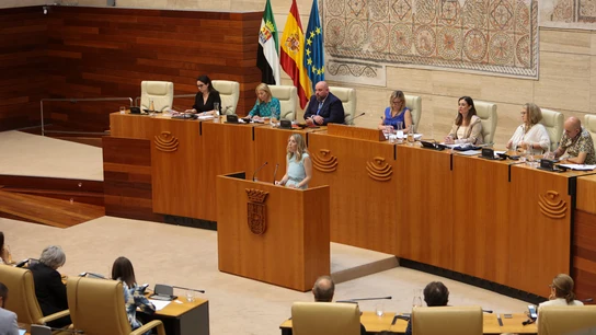 María Guardiola asumirá las competencias de Igualdad en Extremadura tras el pacto con Vox María Guardiola asumirá las competencias de Igualdad en Extremadura tras el pacto con Vox