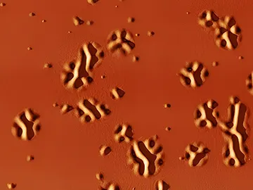 Imagen de la corrugación superficial provocada por el proceso de transición vítrea Imagen de la corrugación superficial provocada por el proceso de transición vítrea