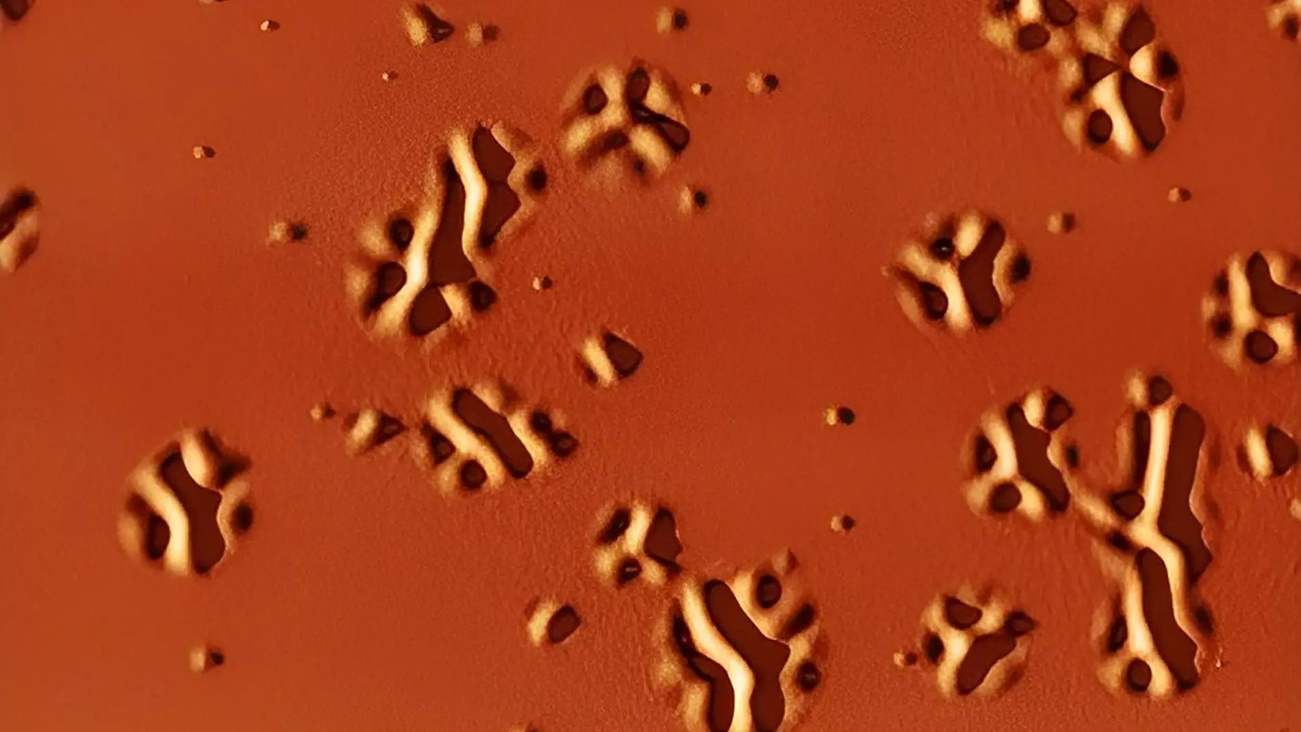 Imagen de la corrugación superficial provocada por el proceso de transición vítrea