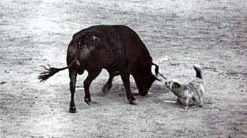 El perro que consiguió poner fin al encierro más largo de la historia, en 1958