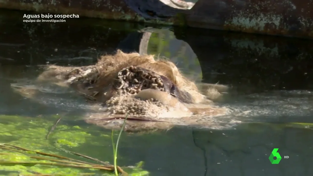 La fábrica de lindano de Sabiñánigo contaminó las aguas del río Gállego durante 15 años