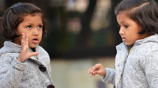 Qué diferencia hay entre gemelos y mellizos Qué diferencia hay entre gemelos y mellizos