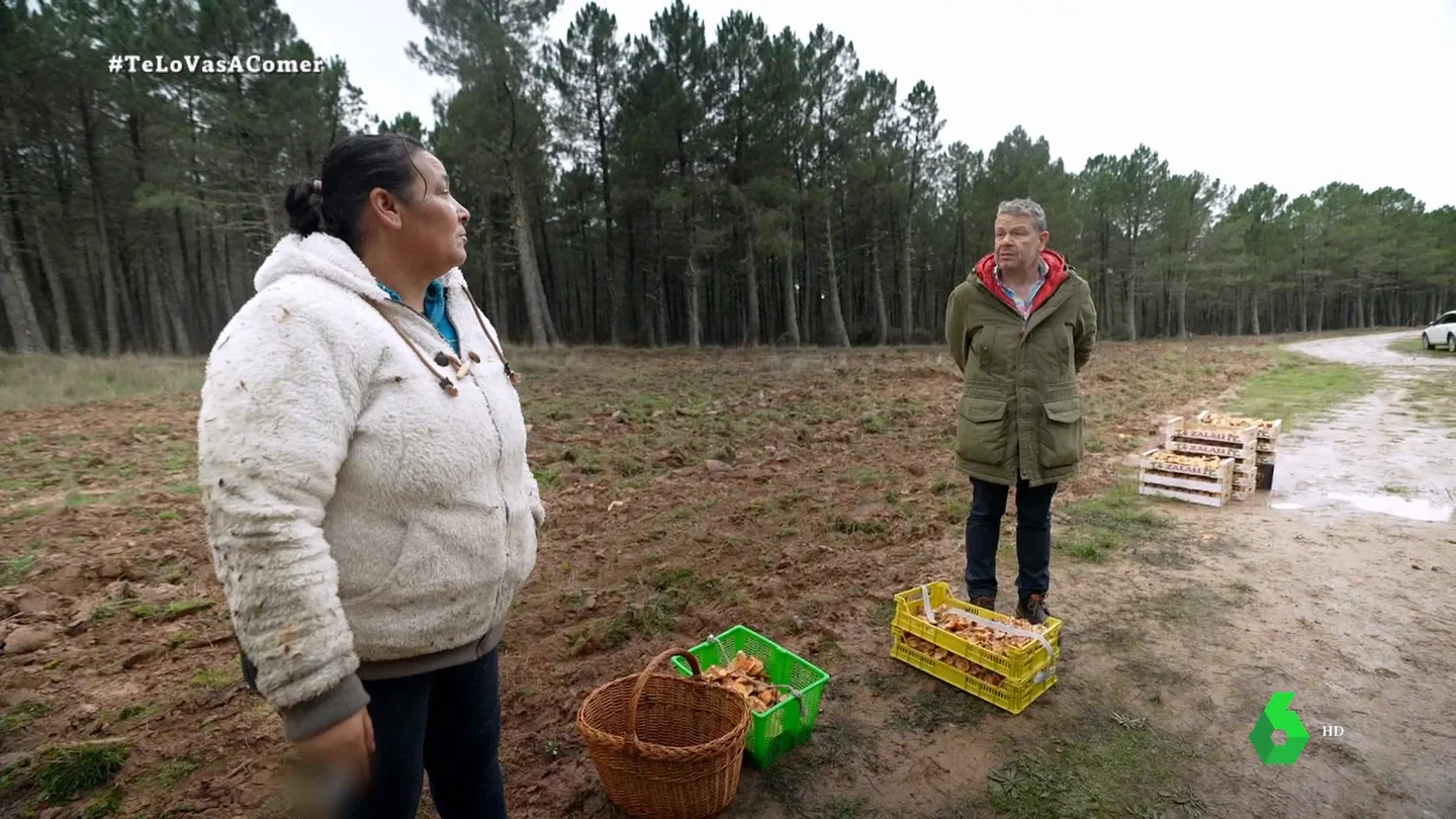 Las mentiras de los recolectores ilegales de setas, al descubierto: así consiguen 70 kilos valorados en 1.750 euros Las mentiras de los recolectores ilegales de setas, al descubierto: así consiguen 70 kilos valorados en 1.750 euros
