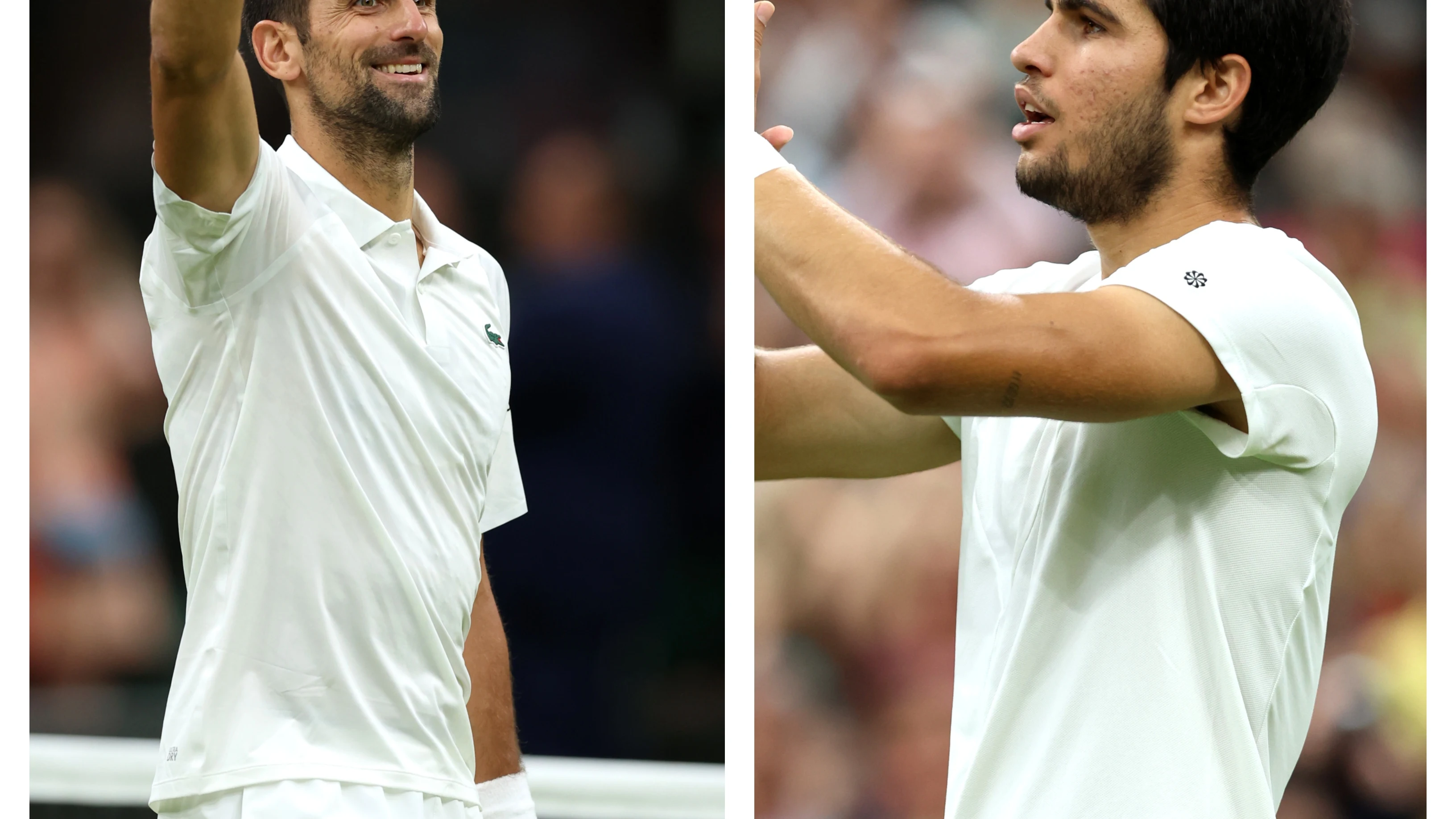 Novak Djokovic y Carlos Alcaraz